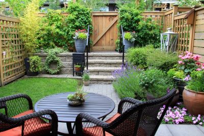 Bush Landscaping in Ventura County, CA